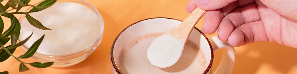 3 Delicious Collagen Coffee Recipes– Vital Nutritive