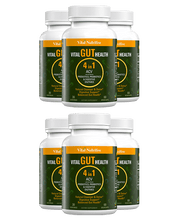 Vital Gut Health 4in1