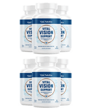 Vital Vision Support