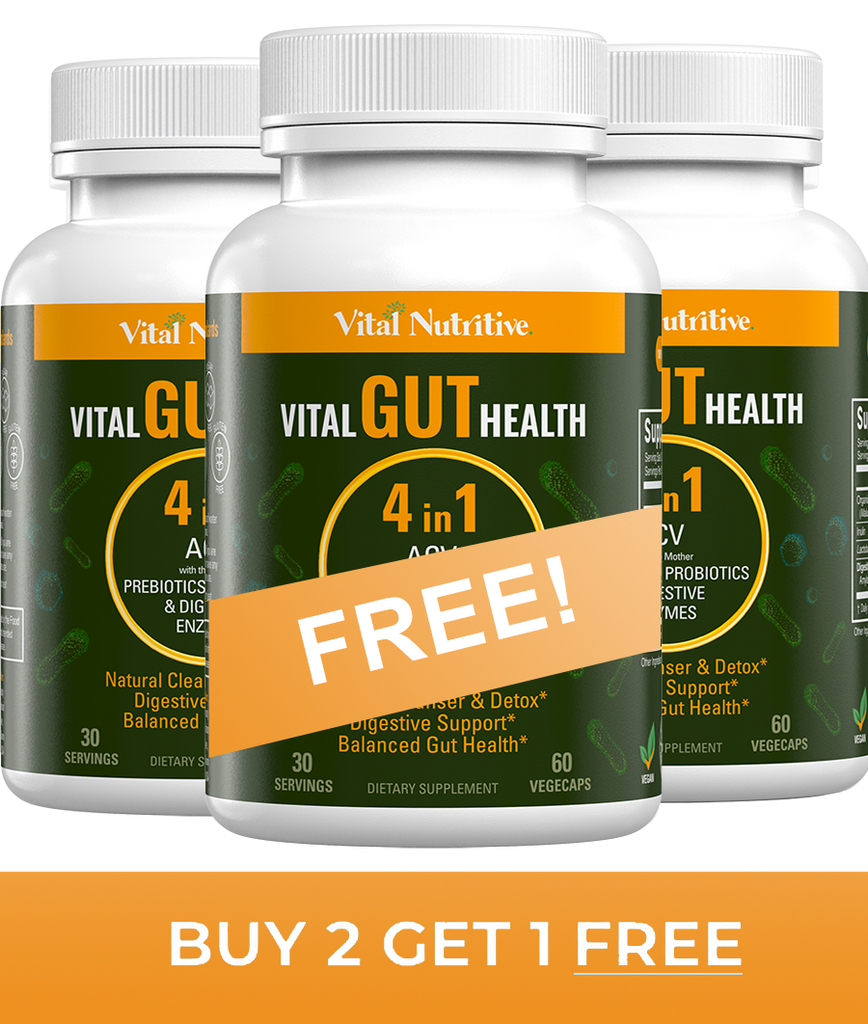 Vital Gut Health 4in1– Vital Nutritive