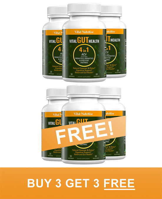 vital-gut-health-4in1-vital-nutritive