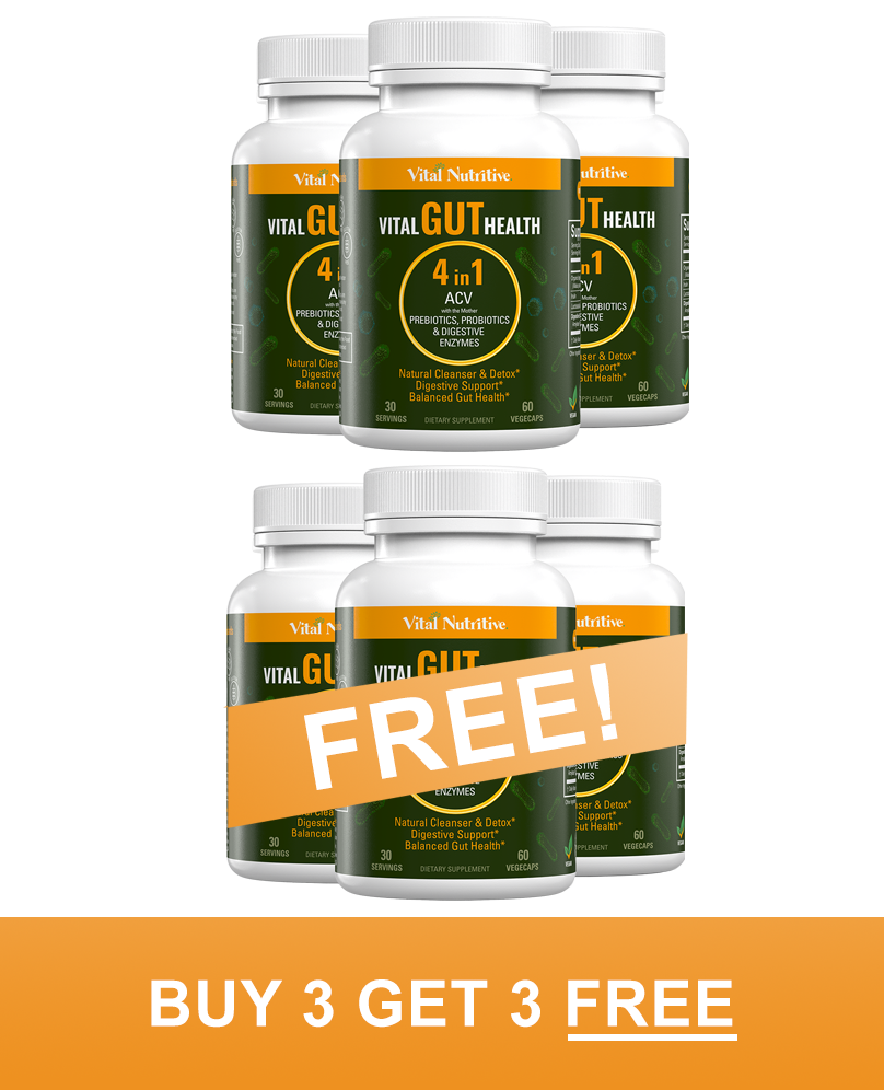 Vital Gut Health 4in1– Vital Nutritive