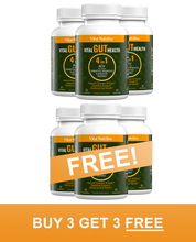Vital Gut Health 4in1