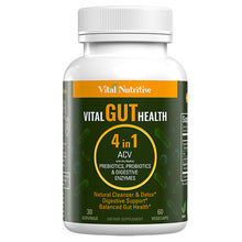 Vital Gut Health 4in1