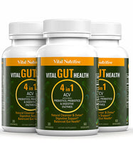 Vital Gut Health 4in1