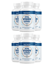 Vital Vision Support