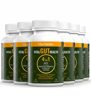 Vital Gut Health 4in1