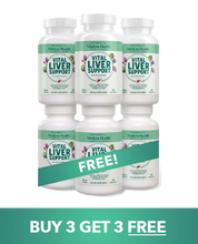 Vital Liver Support