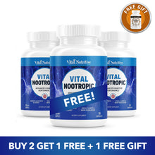 Vital Nootropic
