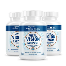 Vital Vision Support